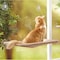 K9 Kennel Store Window Hammock with Durable Heavy Duty Suction Cups Cat Bed XUYI-CB-001 - alternate 2