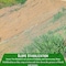 Farm Plastic Supply Straw Erosion Control Blanket Pallet, 8' x 112.5', Erosion Control Blanket Z-SB-PalletQ-4001 - alternate 4