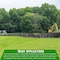 Farm Plastic Supply 2 Foot Wooden Stakes - 25 Per Bundle, Wooden Garden and Sign Posts, Silt Fence, Tomato Stakes Z-2FootStakes-4003 - alternate 4