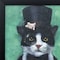 Homeroots 11" X 11" Black Frame Tuxedo Cat 365896 - alternate 3