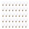 Bulbrite 25w Dimmable Clear G16.5 Incandescent Light Bulbs Medium (E26) Base, 2700K Warm White Light, 40PK 861956 - alternate 1