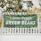Signmission Farm Fresh Green Beans, 24 Inch x 72 Inch, Vinyl Banner B-72-30595 - alternate 2