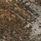 Homeroots 8' Brown And Copper Round Abstract Washable Indoor Outdoor Area Rug 577237 - alternate 5