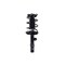 Fcs Struts Suspension Strut And Coil Spring Assembly 2334097L - alternate 1