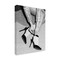 Trademark Fine Art Outdoor Canvas Art - Pictufy Studio III 'Legs Party Black and White' Wall Art for Patios, or Gardens 1X29070-OC2432WR - alternate 1