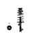Fcs Struts Suspension Strut And Coil Spring Assembly 1331847R - alternate 1