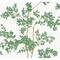 York Wallcoverings Lunaria Silhouette White and Green Wallpaper BL1801 - alternate 1