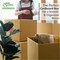 Ecoquality 22x18x16 Inch Heavy-Duty Corrugated Shipping Boxes - For Packing and Storage, 25PK BXC56-25 - alternate 4