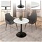 Leisuremod Bristol 27 in Round Dining Table - MDF Wood Top with Black Iron Pedestal Base BTBL-27LNW - alternate 7