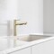 Blanco Alta II Pull Out 1.5 GPM, Satin Gold 527561 - alternate 4