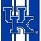 Coverking UNIVERSAL ULTISUEDE SEAT COVER DESIGNER 1PC, UNIVERSITY OF KENTUCKY, ELA009 USCSELA009 - alternate 2
