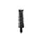 Fcs Struts Suspension Strut And Coil Spring Assembly 1335793 - alternate 1