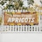 Signmission Farm Fresh Apricots, 18 Inch x 48 Inch, Vinyl Banner B-30573 - alternate 4