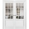 Sartodoors Sliding French Double Pocket Doors, Felicia 3599 White Silk with Clear Glass, Kit Trims Rail Hardw FELICIA3599DP-WS-3696 - alternate 1