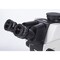 Motic Instruments Usa SM7TR-P A1X Trinocular Stereo Microscope, Plan Achromat Obj 1X, Standard Large Plain Stand 1100201800021 - alternate 3