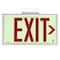 Dual-Lite Photoluminescent Single-Face Brushed Alm Exit Sign 50FT View Distance DPLPM50SBA - alternate 3