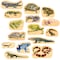 Tickit Wooden Reptile & Amphibian Blocks, 15-Piece Set 73570 - alternate 1