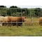 Rangemaster Field Fence, 330 ft L, 32 in H, 12 ga Gauge, Steel, Galvanized 6654 - alternate 3