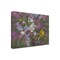 Trademark Fine Art Outdoor Canvas Art Jeff Hoff 'Gold Pink White Goldfinch' Wall Art for Patios, or Gardens GRL00545-OC1824WR - alternate 1