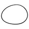 Lbx O RING, LBX OEM 3J 3376 3J 3376 - alternate 5