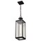 Nuvo Luca, Hanging Pendant, Sand Black Finish, Clear Beveled Glass 60/8514 - alternate 4