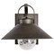 Nuvo Ridge, Medium Outdoor Lantern, Bronze Finish, Clear Seeded Glass 60/8531 - alternate 5