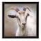 Homeroots Up Close Goat Black Framed Print Wall Art 415417 - alternate 1