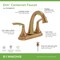 Symmons Elm 4 in. Centerset Two-Handle Bathroom Faucet with Push Pop Drain (1.0 GPM) SLC5512BBZPP - alternate 3