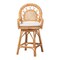 Bali & Pari Adam Natural Rattan Counter Stool 265-14385-ZORO - alternate 6