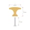 Richelieu 1 5/32-inch (29 mm) x 15/32-inch (12 mm) Aurum Brushed Gold Transitional Cabinet Knob BP525429158 - alternate 5