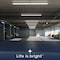 Luxrite 4FT T8 LED Tube Light, 13W (32W Equivalent), 1900 Lumens, 4PK LR34244 - alternate 6