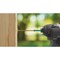 Grk Fasteners GRK 2'' T30 Star Drive Impact Screwdriver Bit, 2 Ct. 187451 - alternate 5