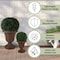 Pure Garden Outdoor Planter 2-Pack Large & Small Urn Planters Plastic Plant Pots for Indoor or Outdoor 50-LG1428 - alternate 4