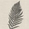 Homeroots Set Of Two Modern Ferns II Brown Framed Print Wall Art, 2PK 416365 - alternate 3