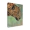 Trademark Fine Art Outdoor Canvas Art - David Stribbling 'leopard profile' Wall Art for Patios, or Gardens GRL01598-OC2432WR - alternate 1