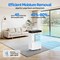 Edendirect 48 pt. 4,500 sq.ft. Dehumidifier for Home in White with Drain Hose, Bucket for Basement, 24H Timer ZR-AP20-1909EE - alternate 5