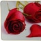 Homeroots 24" Red White And Gold Solid Wood and Acrylic Silent Roses Floral Wall Clock 626570 - alternate 4