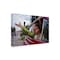 Trademark Fine Art Outdoor Canvas Art - Stefan Amer 'Im Free' Wall Art for Patios, or Gardens 1X11284-OC1219WR - alternate 1