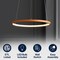 Jonathan Y Brice 15.75" Modern Contemporary Metal Round Dimmable Integrated LED Pendant, Orange JYL7202G - alternate 5
