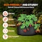 Ipower Plant Grow Bag 5 Gallon Heavy Duty Fabric Pots, 300g Thick Nonwoven, Black 2024 Version, 6PK GLGROWBAG5X6BLK - alternate 4