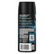 Axe Fine Fragrance Collection Aqua Bergamot Premium Deodorant Body Spray for Men, 4 Ounce, 12PK 69550952 - alternate 1