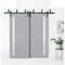 Sartodoors Sliding Closet Barn Bypass Doors with Frosted Glass Grey 84x80 (2* 42x80) Solid Core Modern Interio VEREGIO7288BBB-GRE-84 - alternate 1