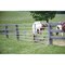 Tarter 50'' H.x12 ' L.x1-3/4'' Tube Diameter Galvanized Tube Gate 6GG12 - alternate 2