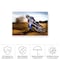 Trademark Fine Art Outdoor Canvas Art - Attila Szabo 'Desert King' Wall Art for Patios, or Gardens 1X11005-OC1624WR - alternate 5