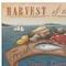 Homeroots Sea Harvest White Framed Print Kitchen Wall Art 404727 - alternate 3