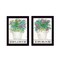 Homeroots Set Of Two Succulents Dream and Believe Black Framed Print Wall Art, 2PK 407933 - alternate 1
