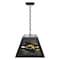 Holland Bar Stool University of Southern Mississippi Pendant Box Light BxLM1 - alternate 1
