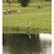 Flambeau Great Blue Heron Decoy 5960CD - alternate 3