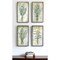 Homeroots Set Of Four Herbs Black Framed Print Wall Art, 4PK 525107 - alternate 3