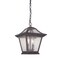 Homeroots Matte Black Birdhouse Shape Outdoor Hanging Light 397979 - alternate 4